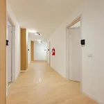 Elegante Stanza 3 Bagno Privato Presso Stazione Padova