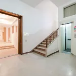 Elegante Stanza 3 Bagno Privato Presso Stazione * Padova